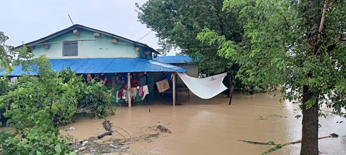 अविरल वर्षाले  कैलालीमा ९९ परिवार प्रभावित